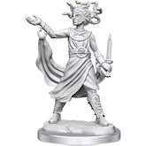 Medusa - Miniatura D&D Frameworks W02A